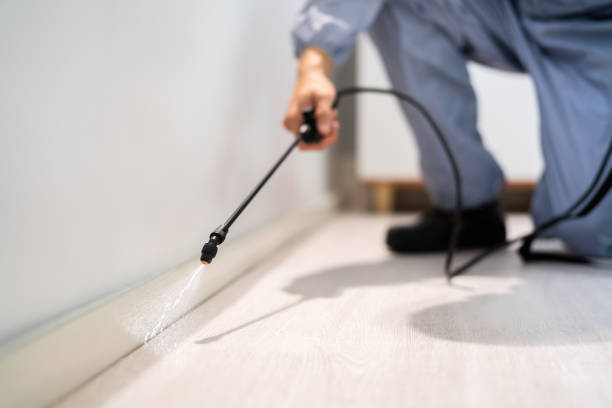 Licensed Fumigation Services service in Buncombe County County, NC - Nex Pest Control