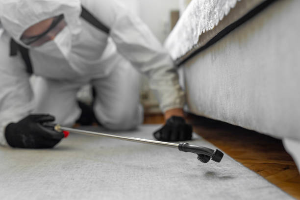 Professional Fumigation Services technician working in Buncombe County County, NC